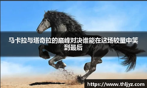 龙8国际官网